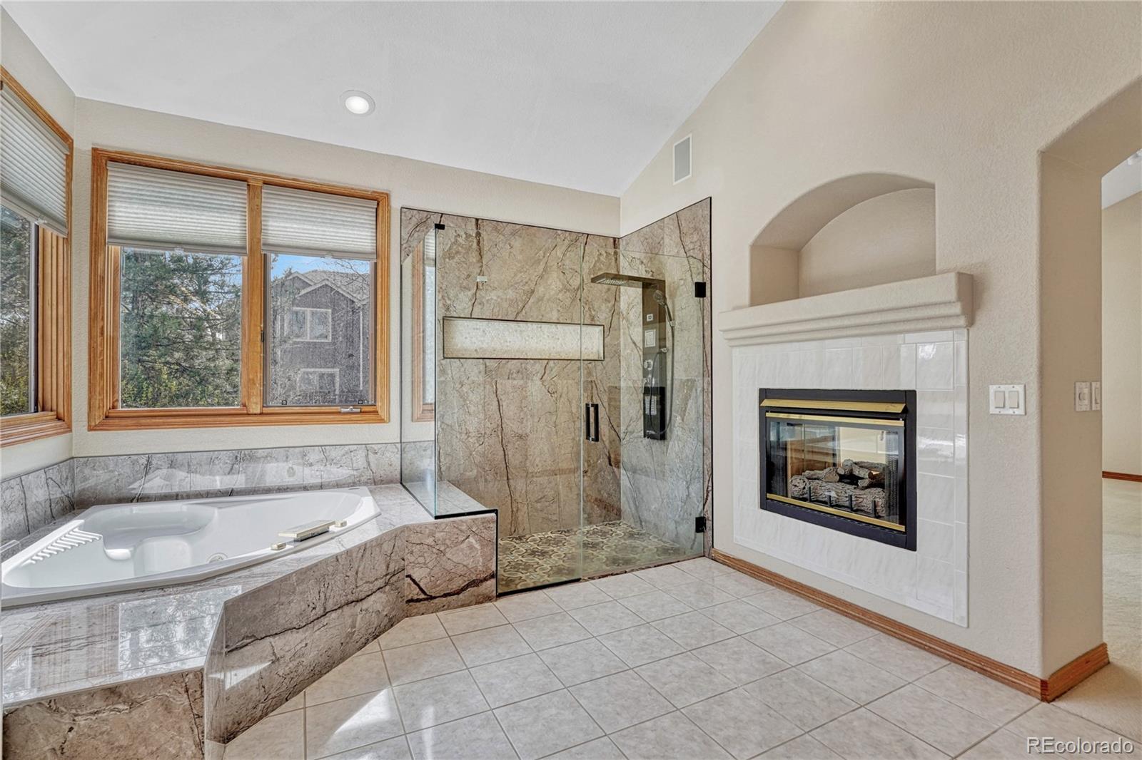 8406 Green Island Circle Lone Tree CO 80124