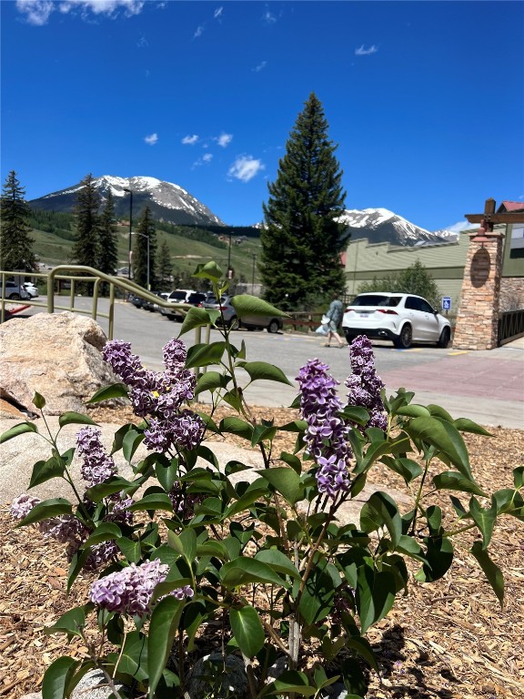 145 Stephens Way Silverthorne CO 80498