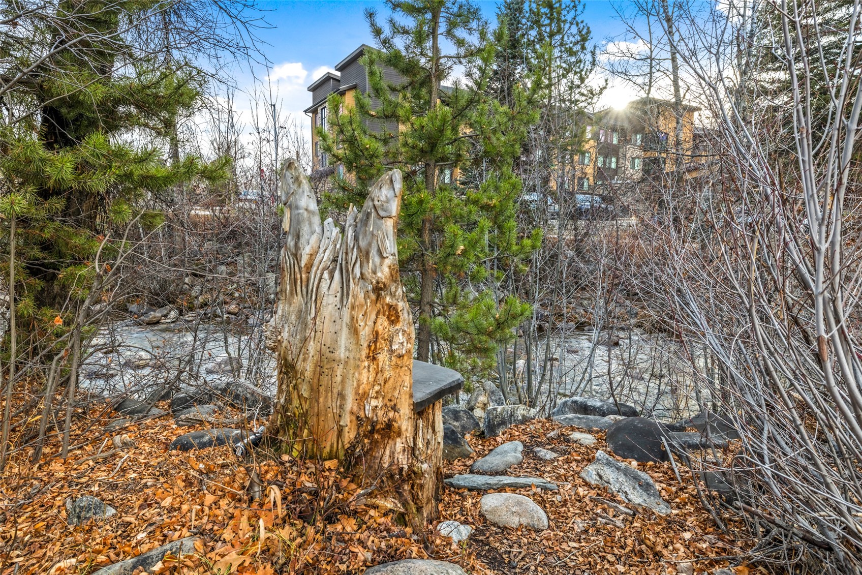 505 Anglers Drive Steamboat Springs CO 80487