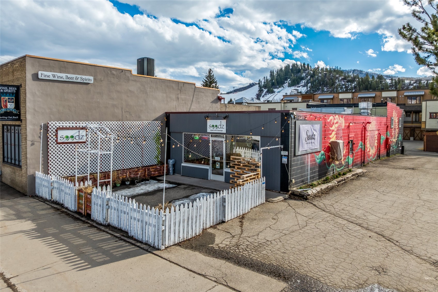 1117 Lincoln Avenue Steamboat Springs CO 80487