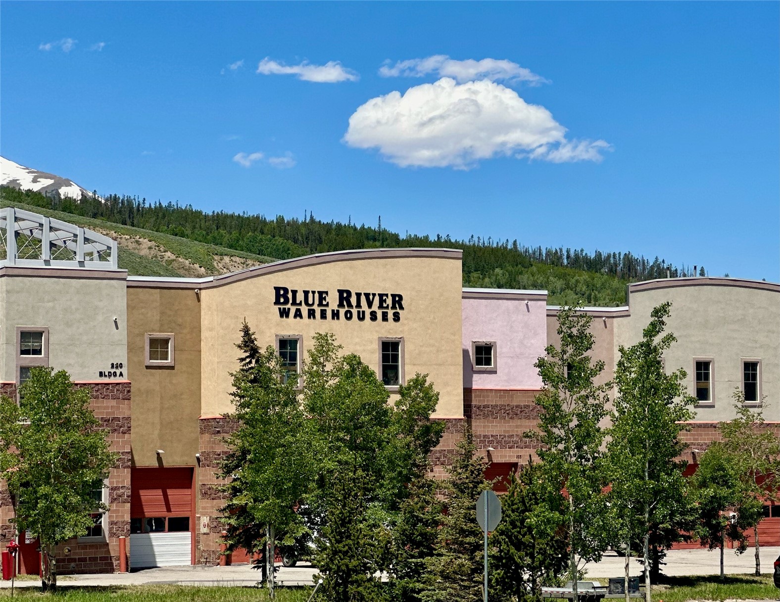220 Buffalo Mountain Drive Silverthorne CO 80498