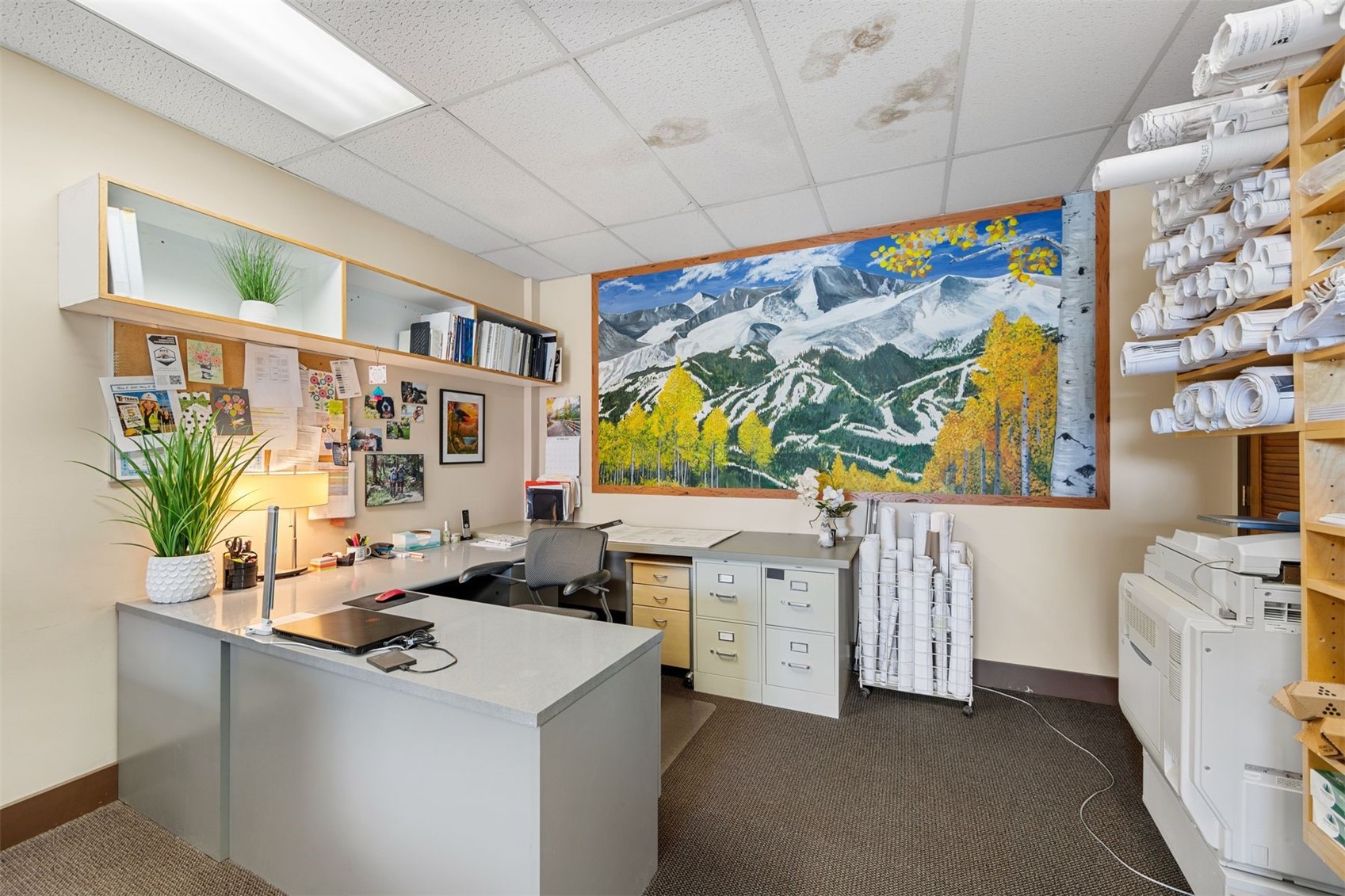 365 Warren Avenue Silverthorne CO 80498