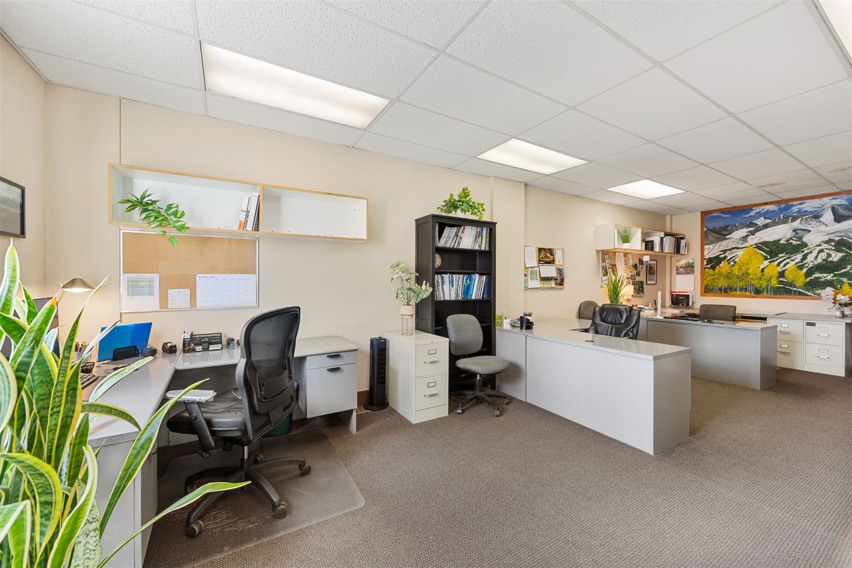 365 Warren Avenue Silverthorne CO 80498