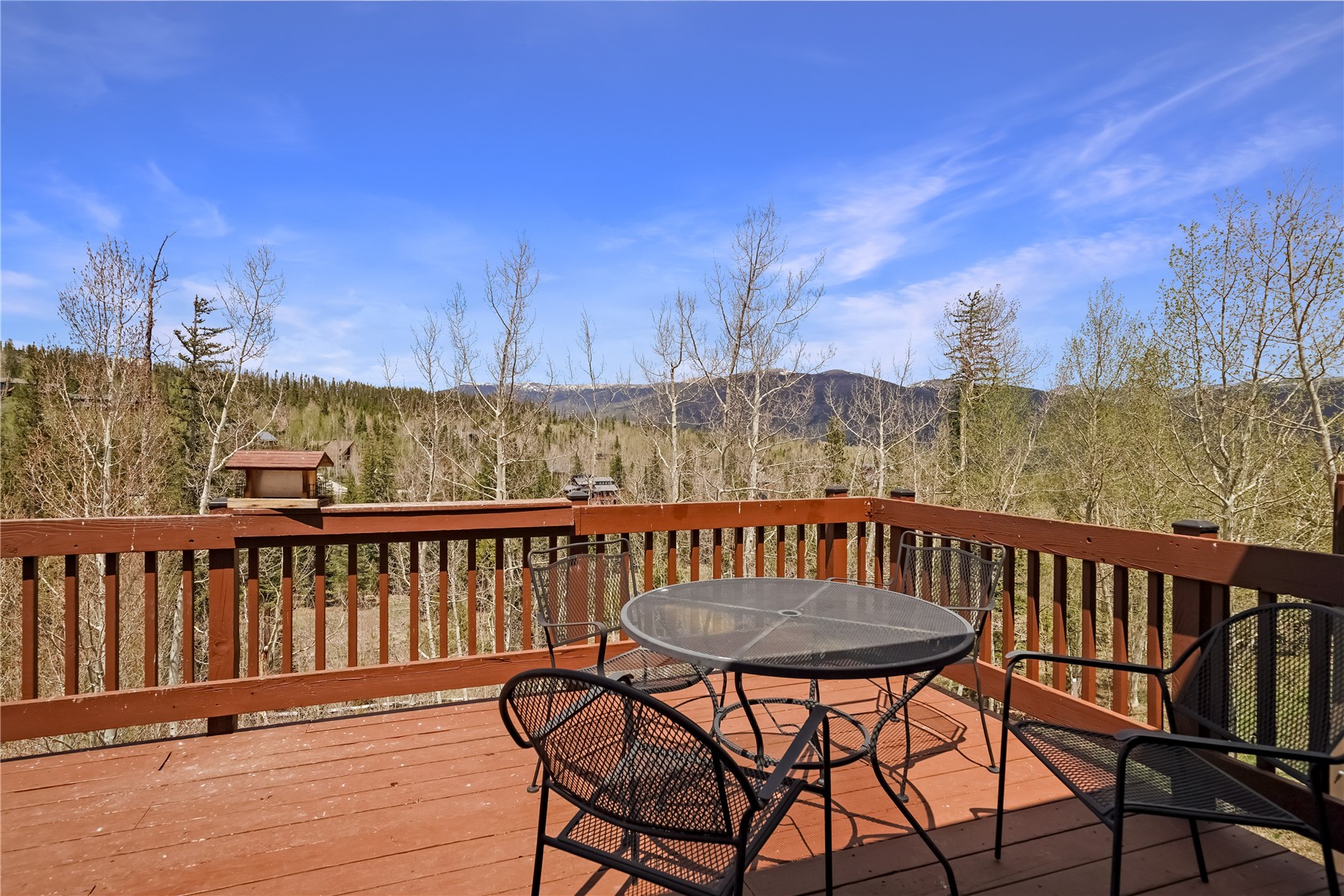 23 Twenty Grand Court Silverthorne CO 80498