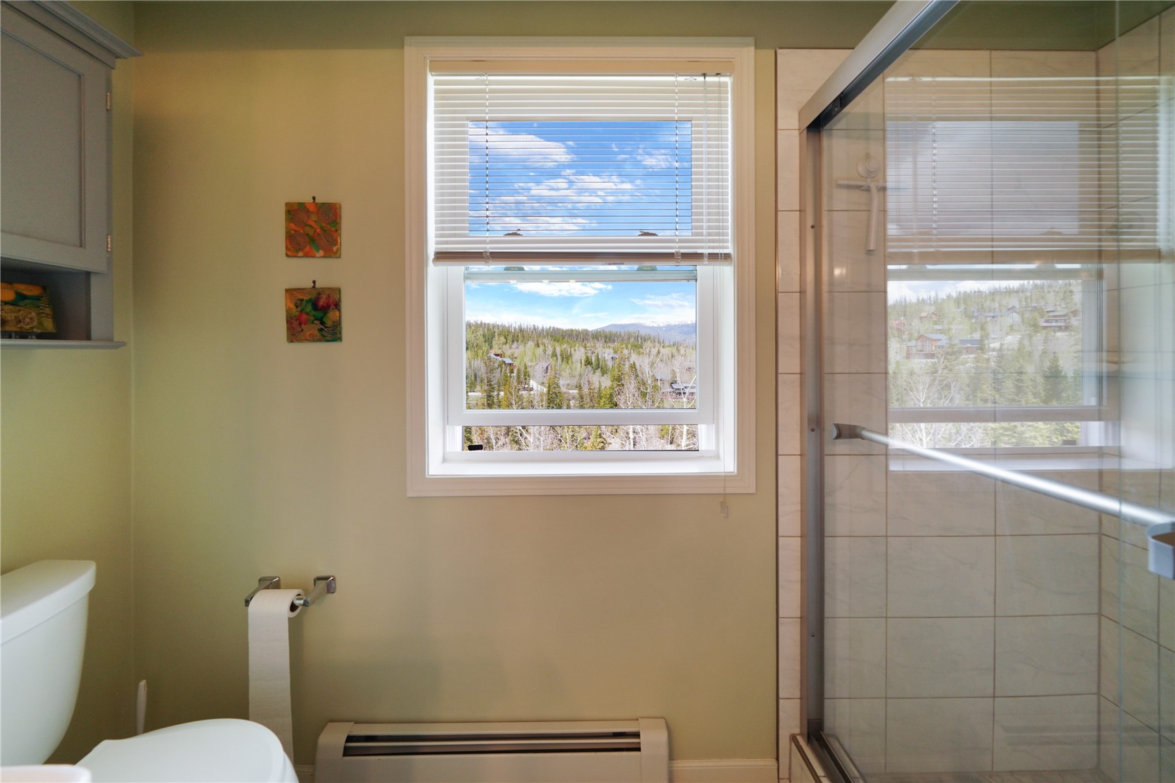 23 Twenty Grand Court Silverthorne CO 80498