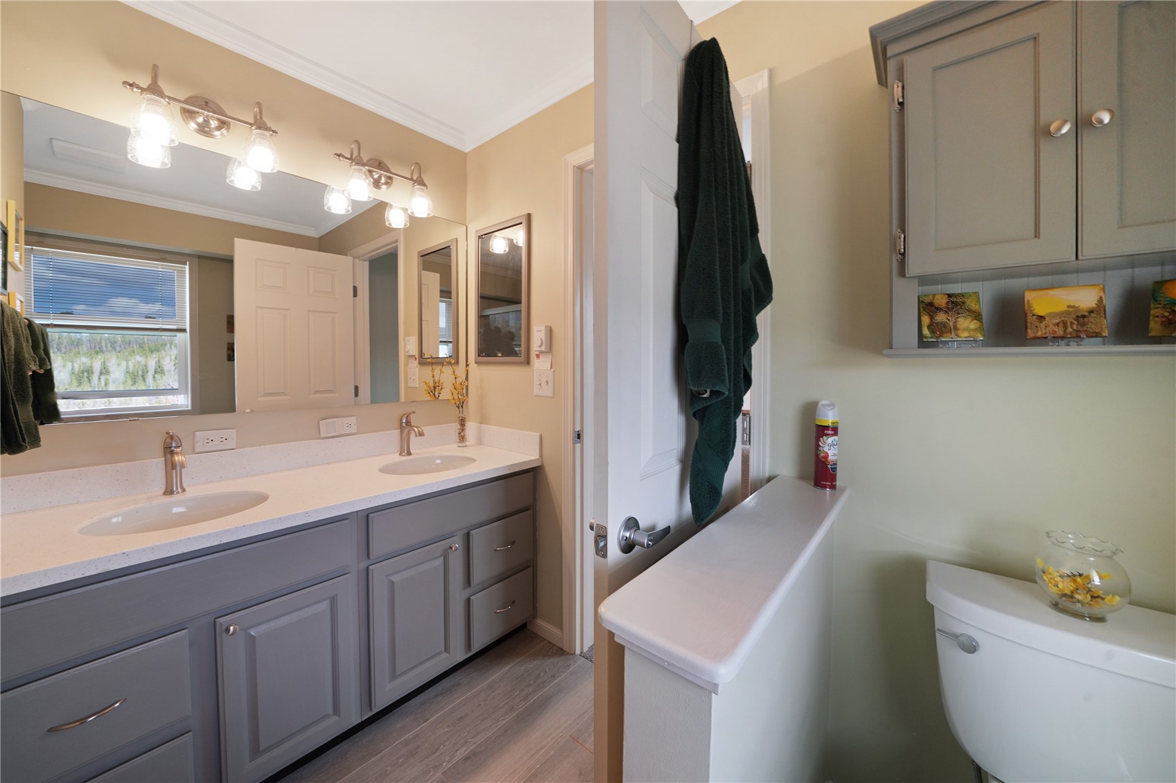 23 Twenty Grand Court Silverthorne CO 80498