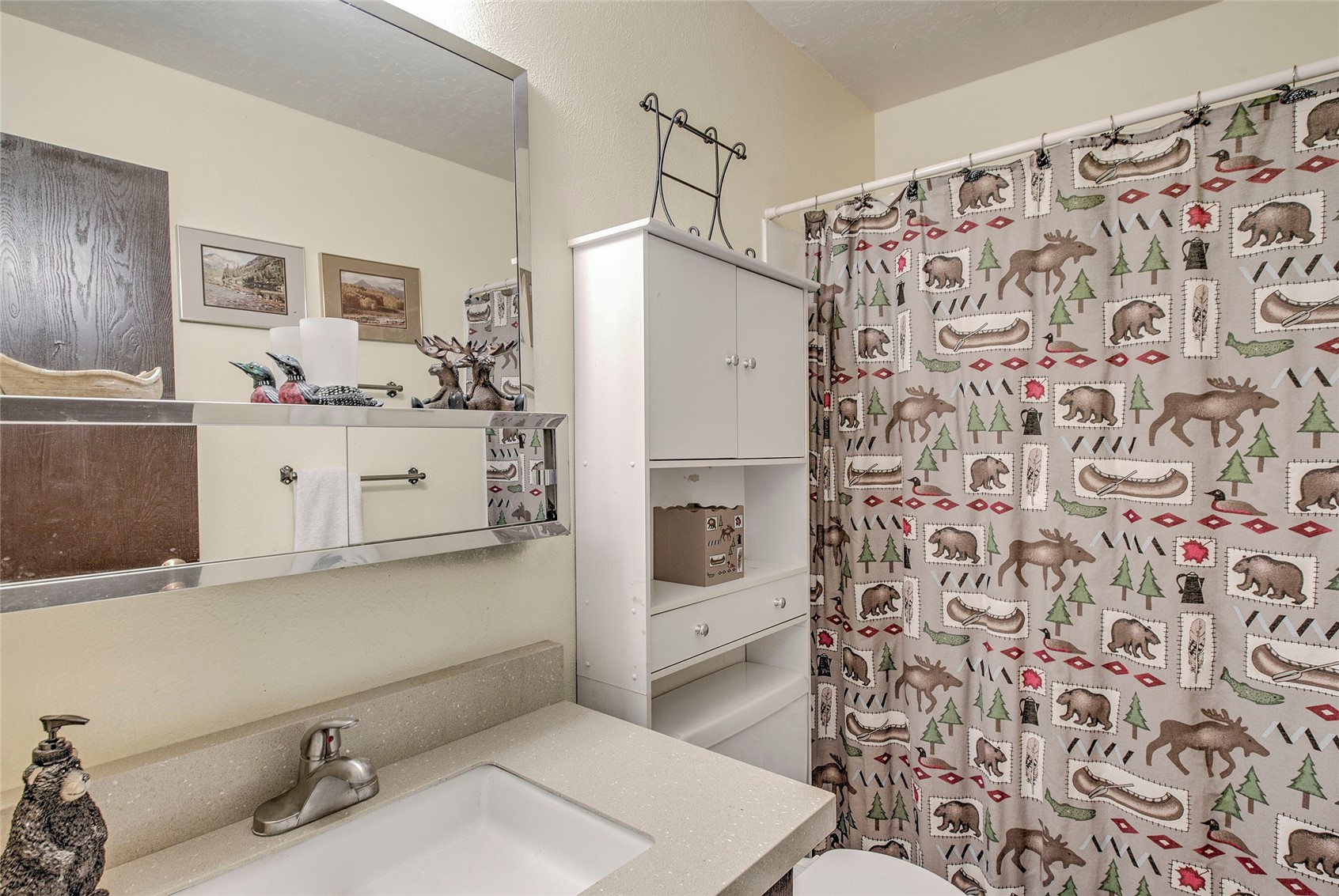 9800 Ryan Gulch Road Silverthorne CO 80498