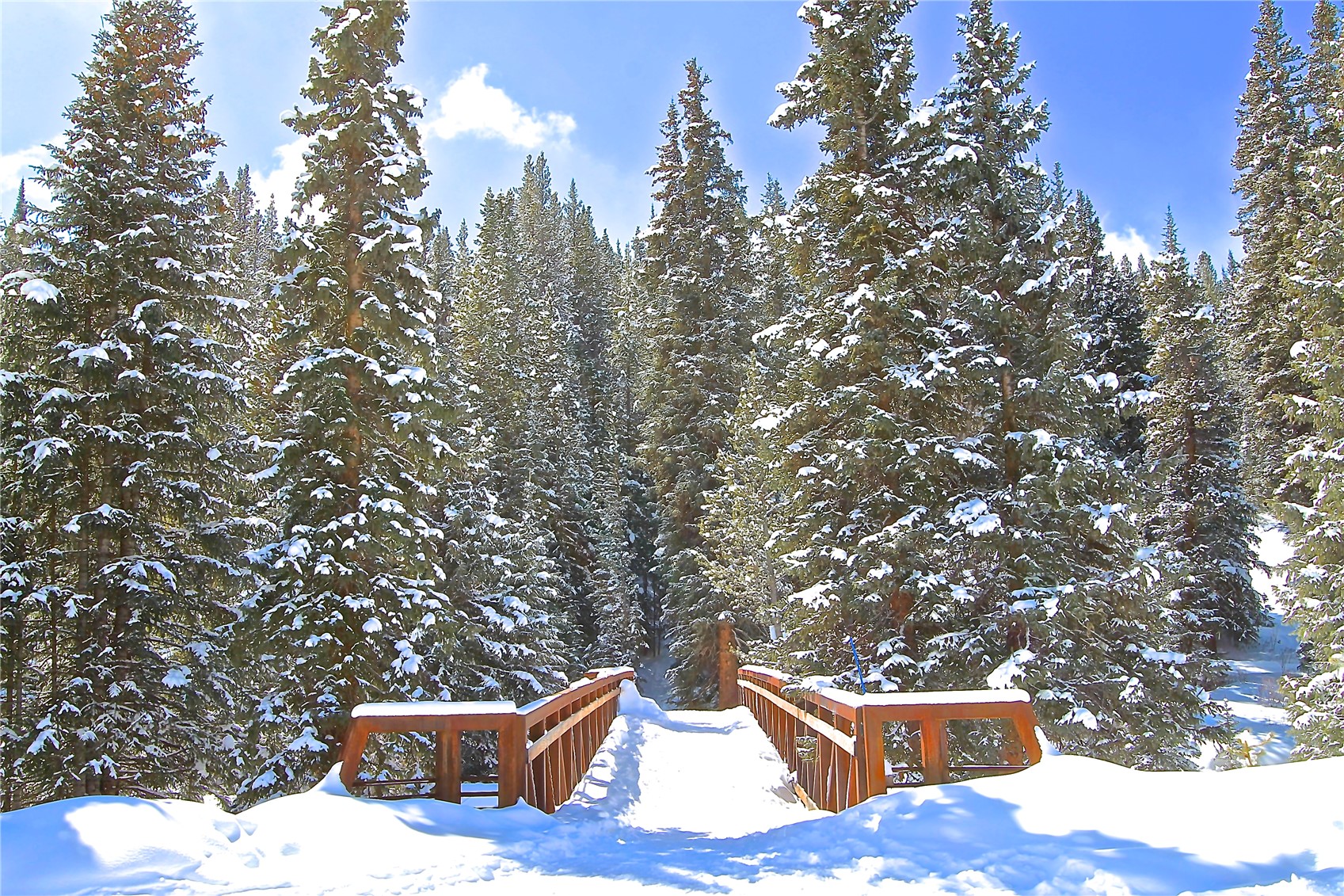 12 Union Creek Trail Copper Mountain CO 80443