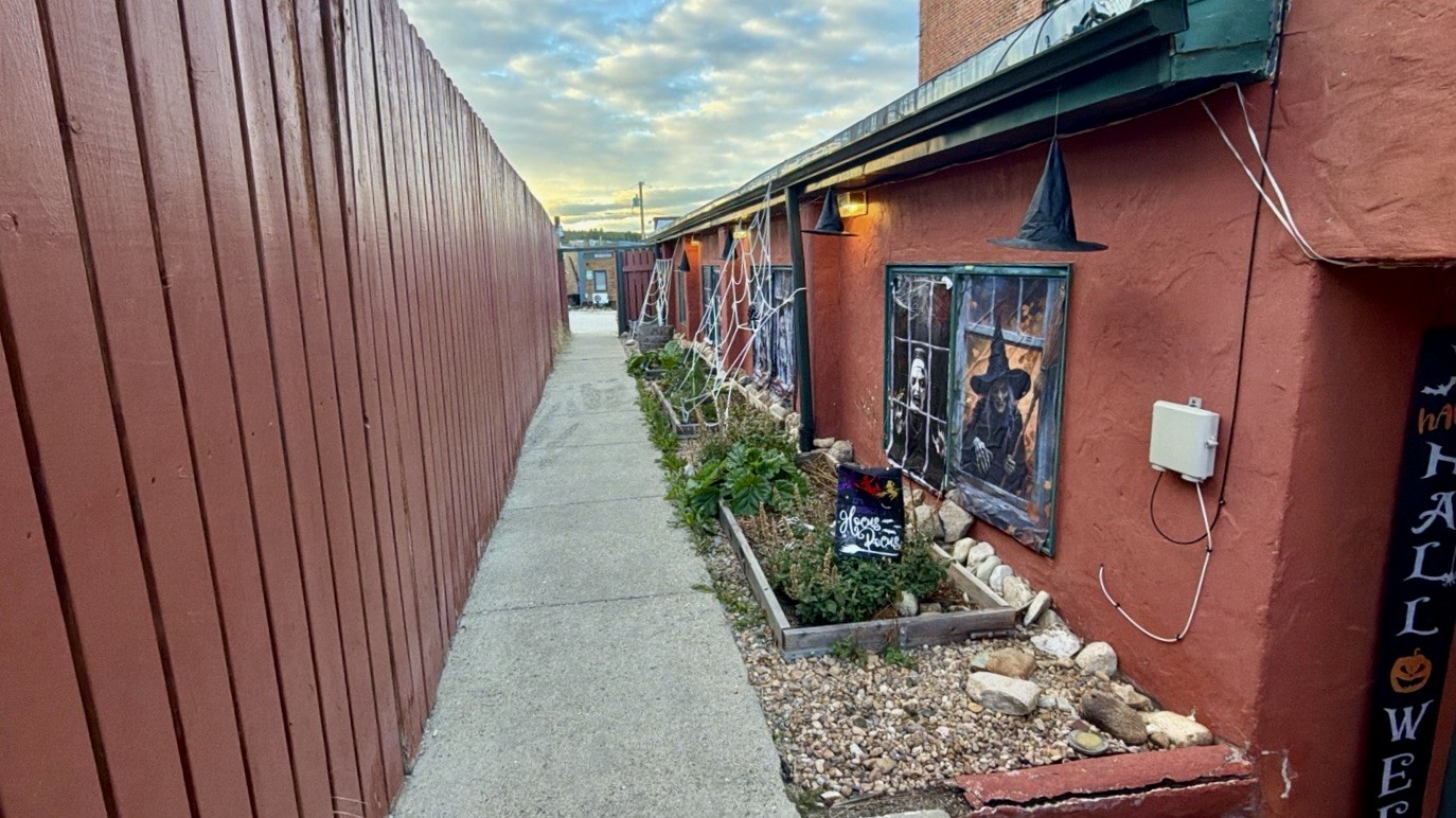 118 W 2nd Street Leadville CO 80461