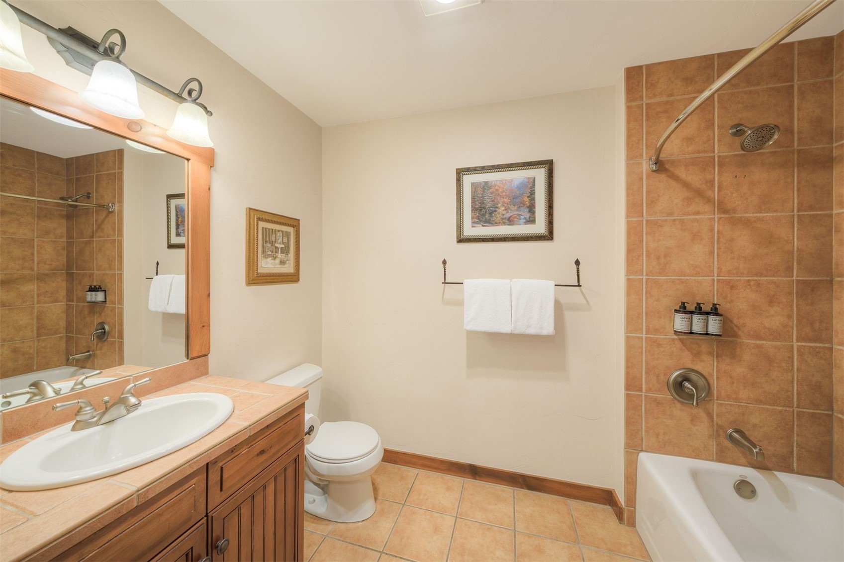 50 Mountain Thunder Drive Breckenridge CO 80424