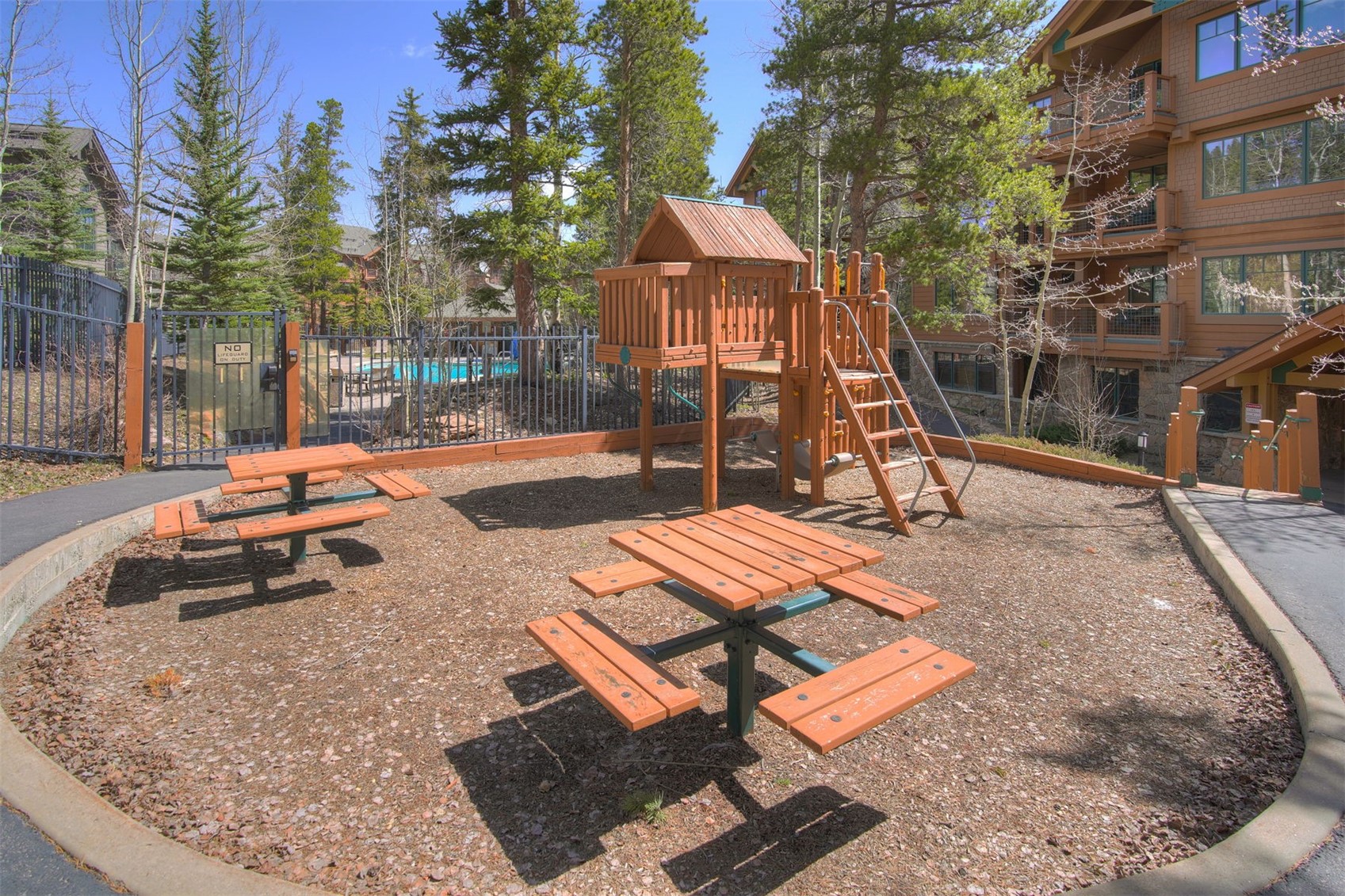 50 Mountain Thunder Drive Breckenridge CO 80424
