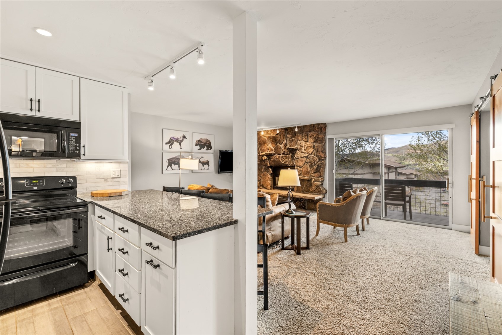 2275 Storm Meadows Drive Steamboat Springs CO 80487