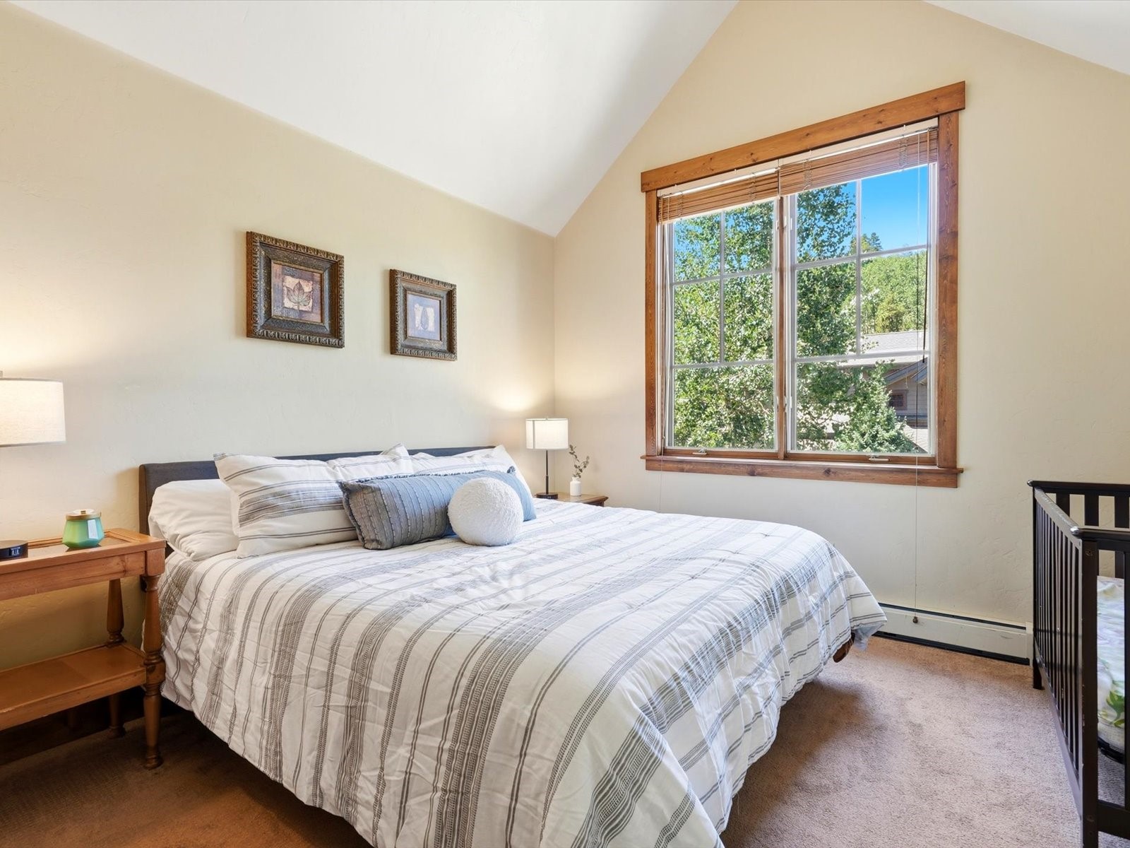 63 Mountain Thunder Drive Breckenridge CO 80424