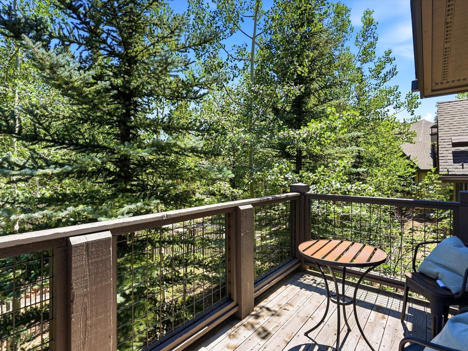 63 Mountain Thunder Drive Breckenridge CO 80424