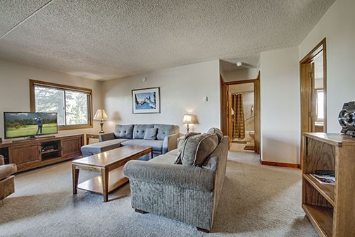 317 W La Bonte Street Dillon CO 80435