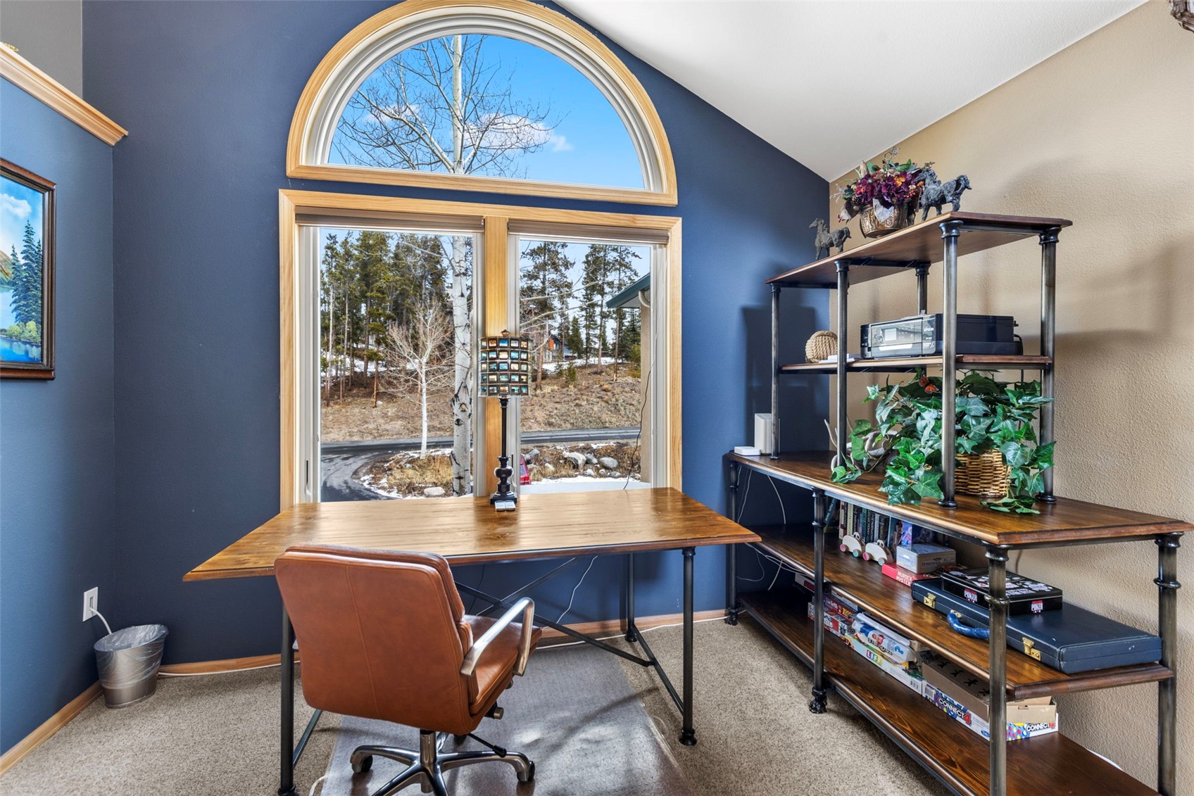 14 Larson Lane Frisco CO 80443