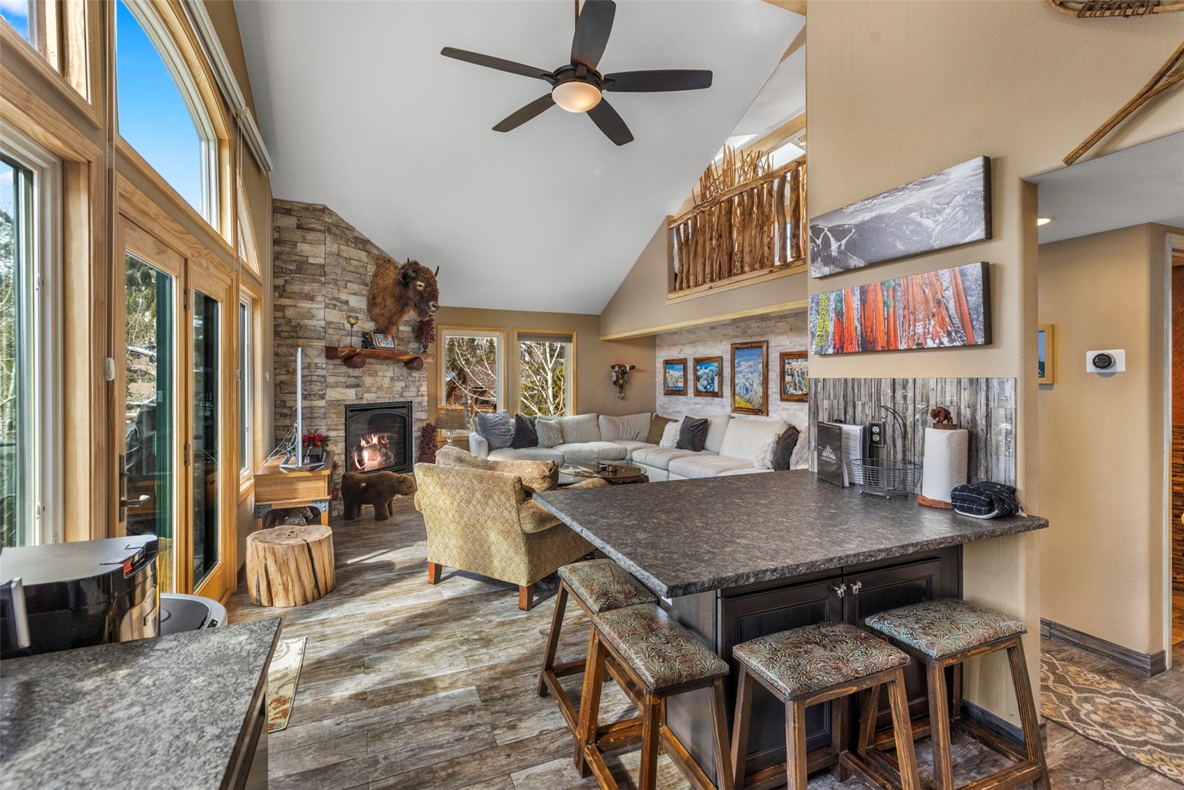 14 Larson Lane Frisco CO 80443