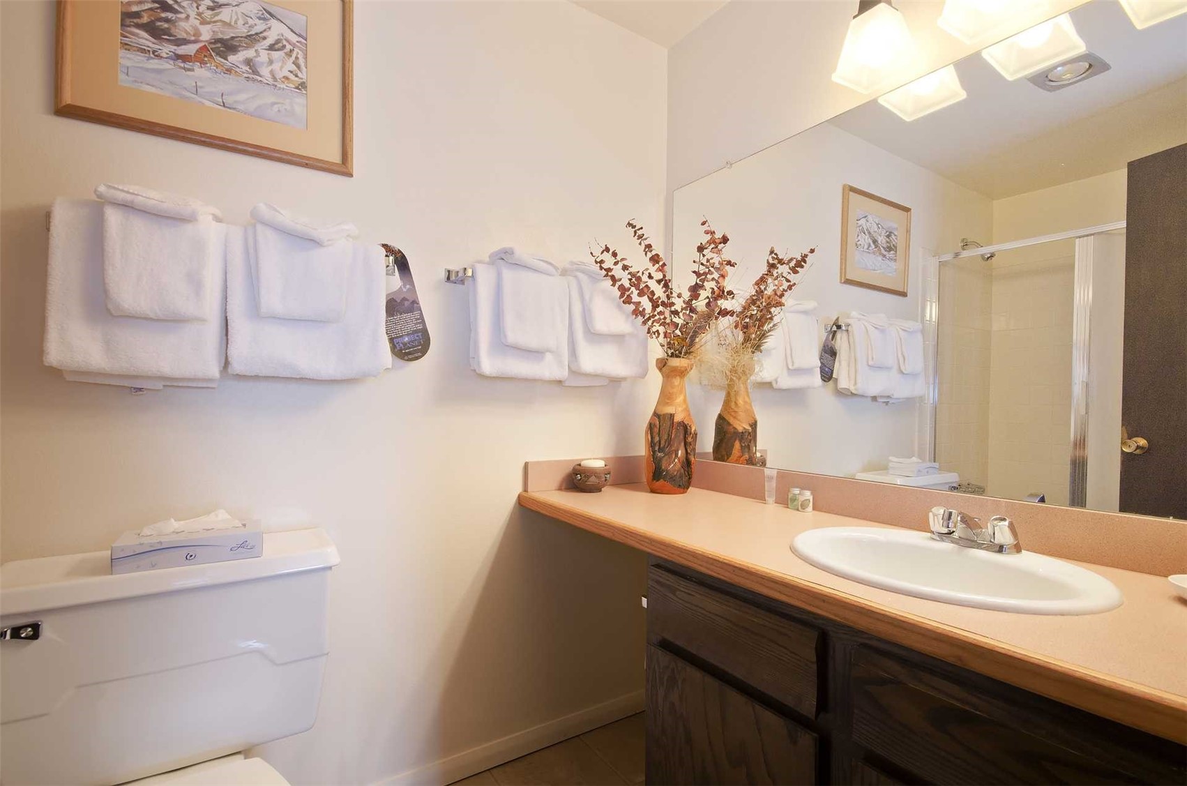 2375 Storm Meadows Drive Steamboat Springs CO 80487