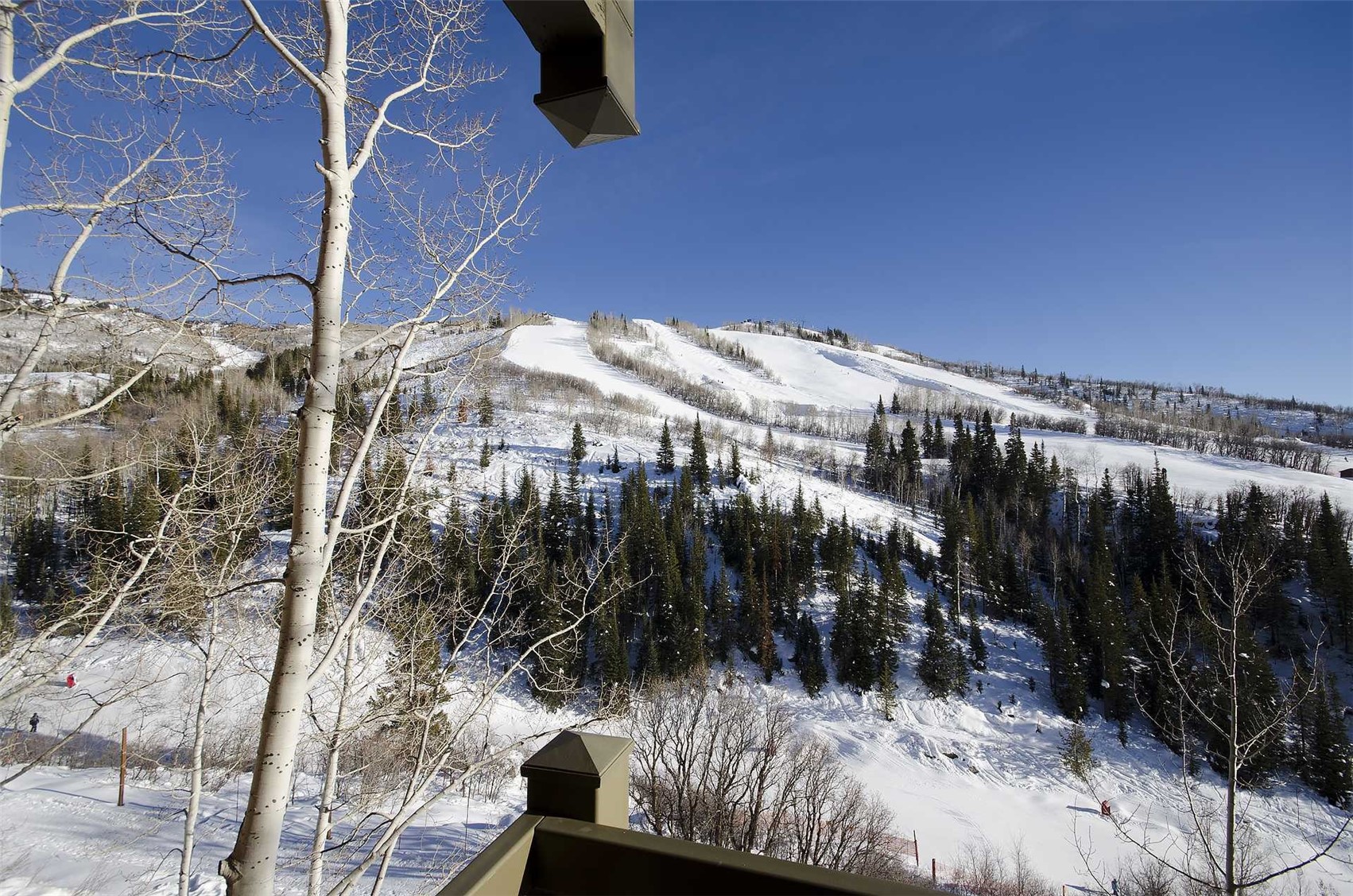 2375 Storm Meadows Drive Steamboat Springs CO 80487