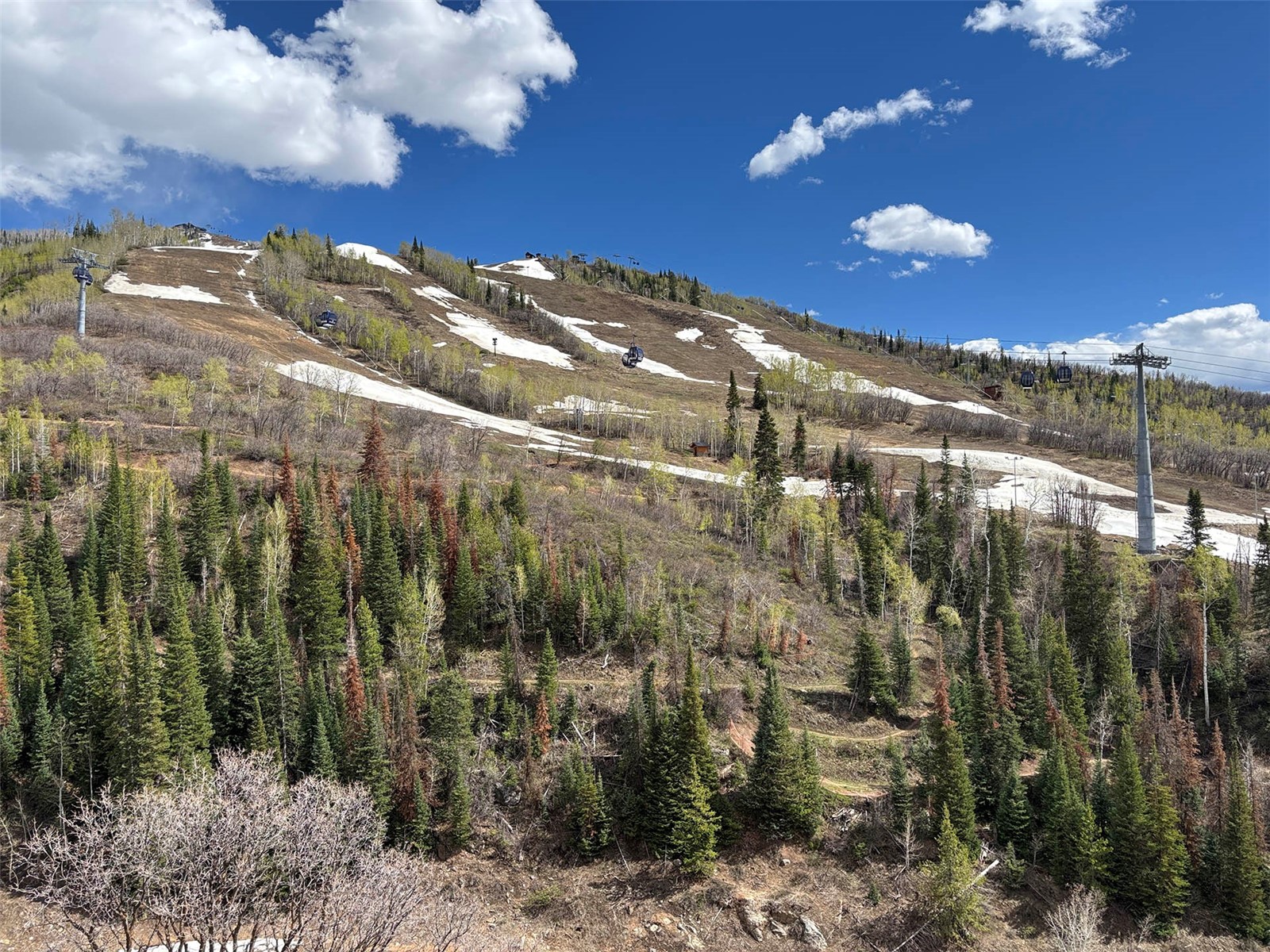 2375 Storm Meadows Drive Steamboat Springs CO 80487