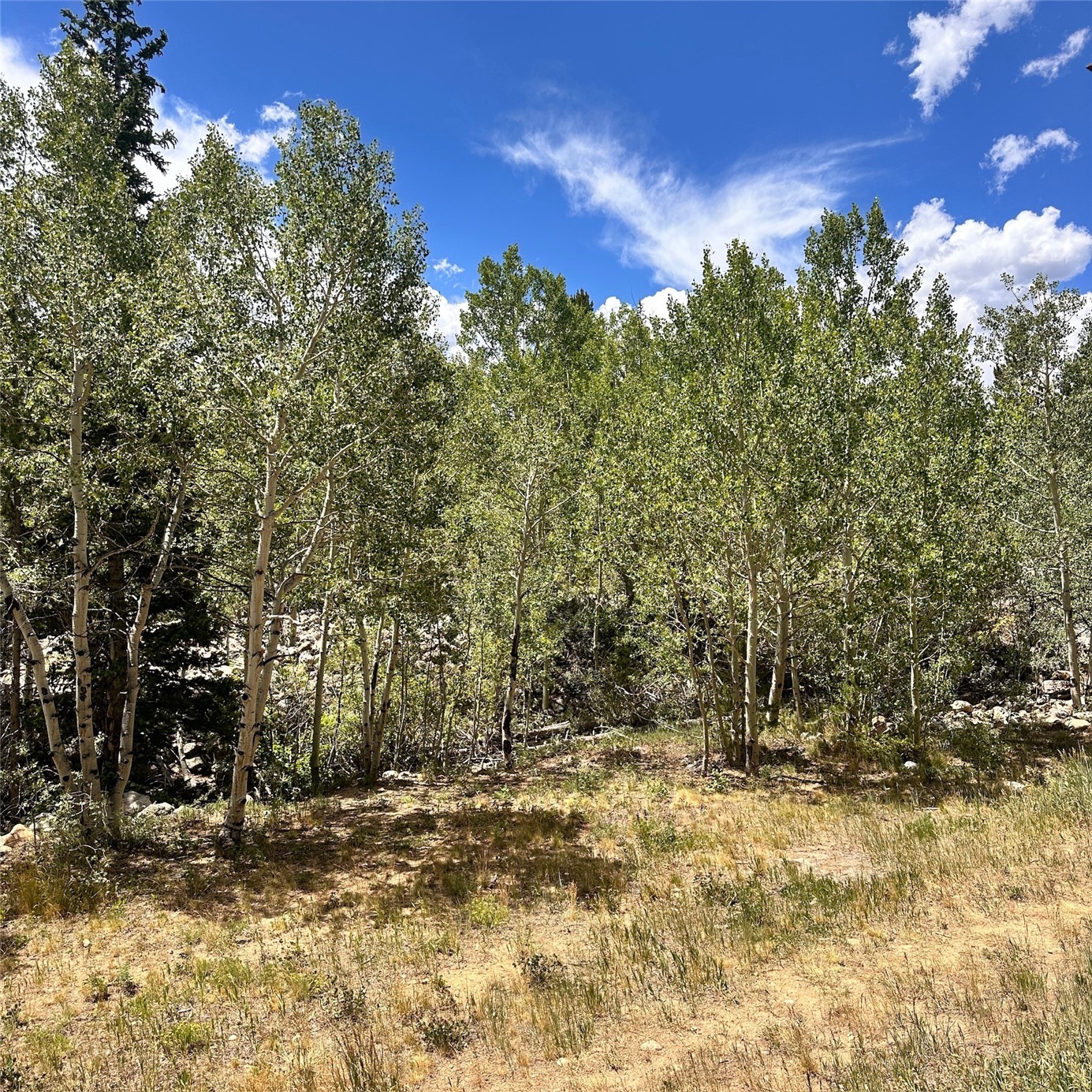 101 Ryan Gulch Court Wildernest CO 80498