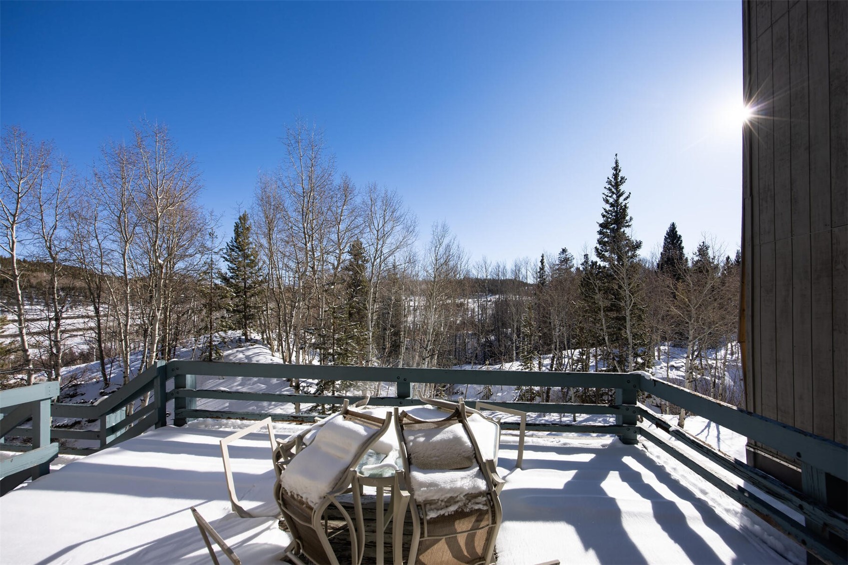 101 Ryan Gulch Court Wildernest CO 80498