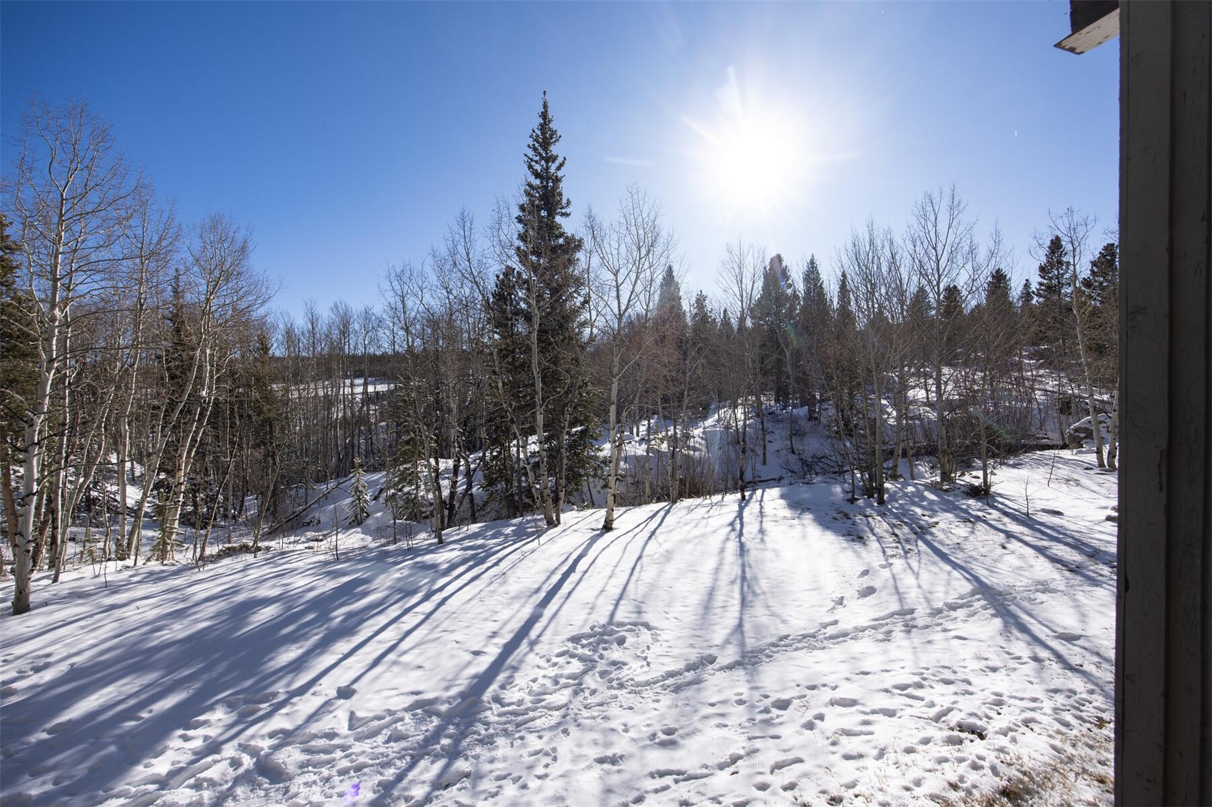 101 Ryan Gulch Court Wildernest CO 80498