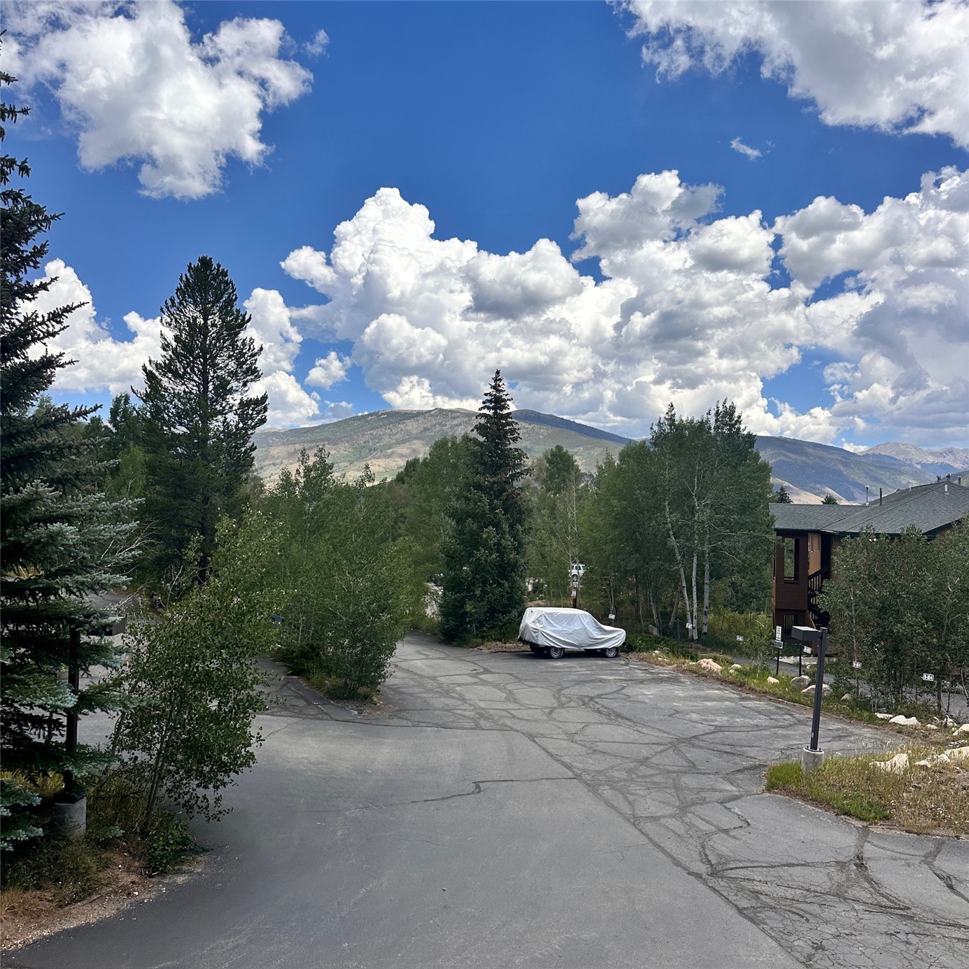 101 Ryan Gulch Court Wildernest CO 80498