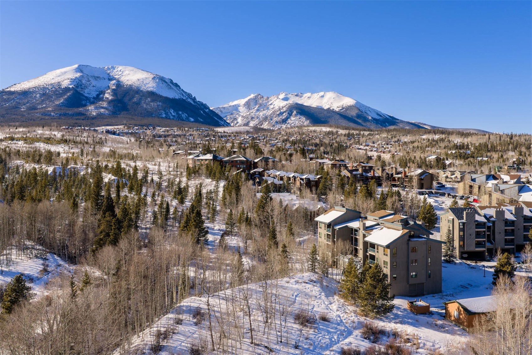 101 Ryan Gulch Court Wildernest CO 80498