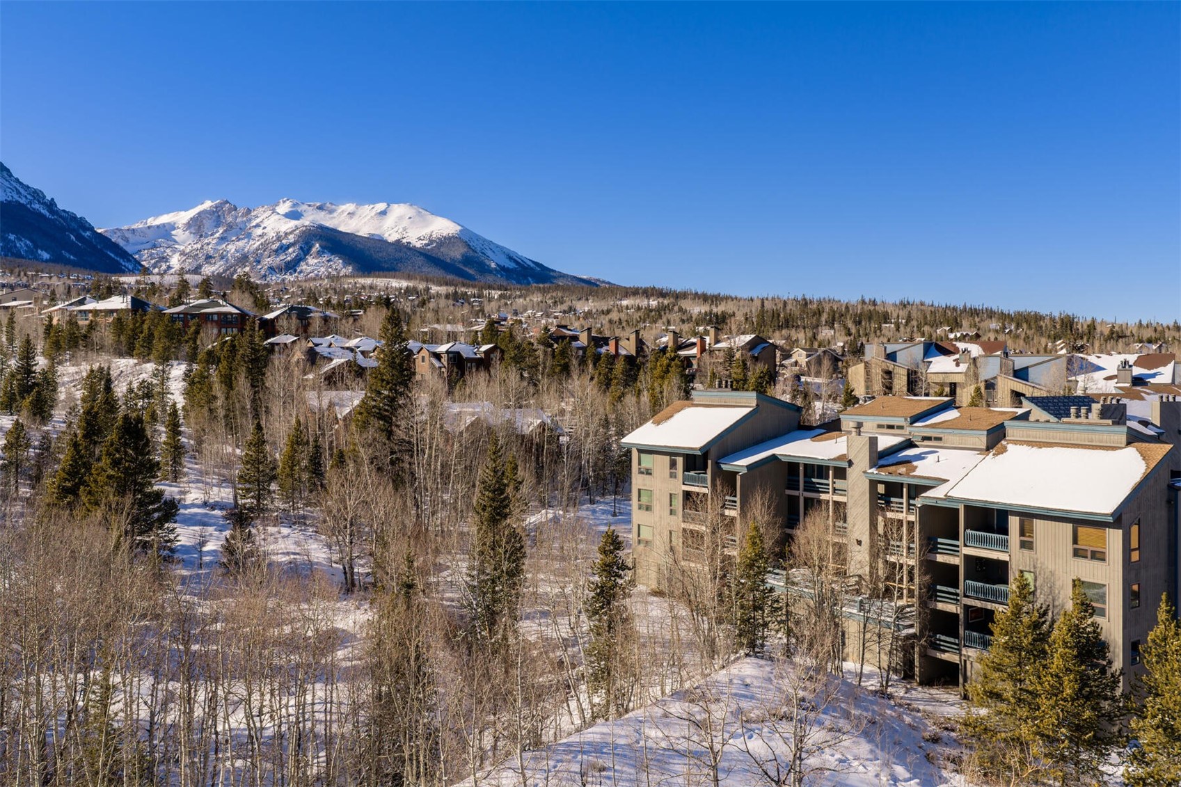 101 Ryan Gulch Court Wildernest CO 80498