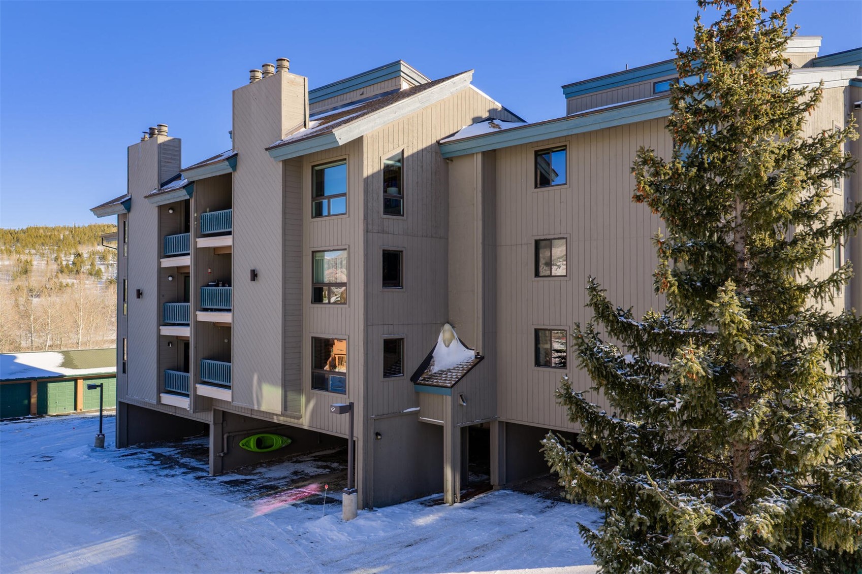101 Ryan Gulch Court Wildernest CO 80498