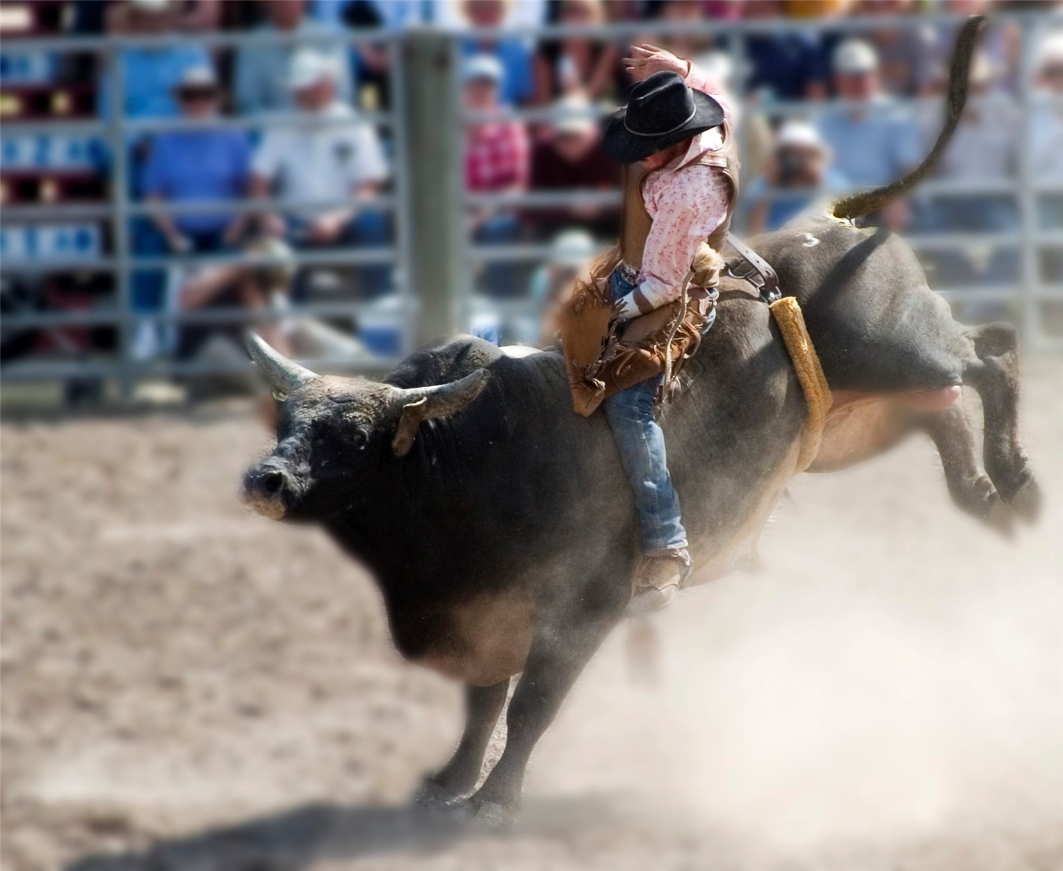 608 Yampa Steamboat Springs CO 80487