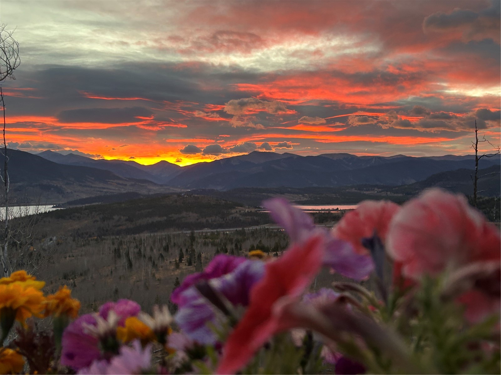105B Wildernest Court Silverthorne CO 80498