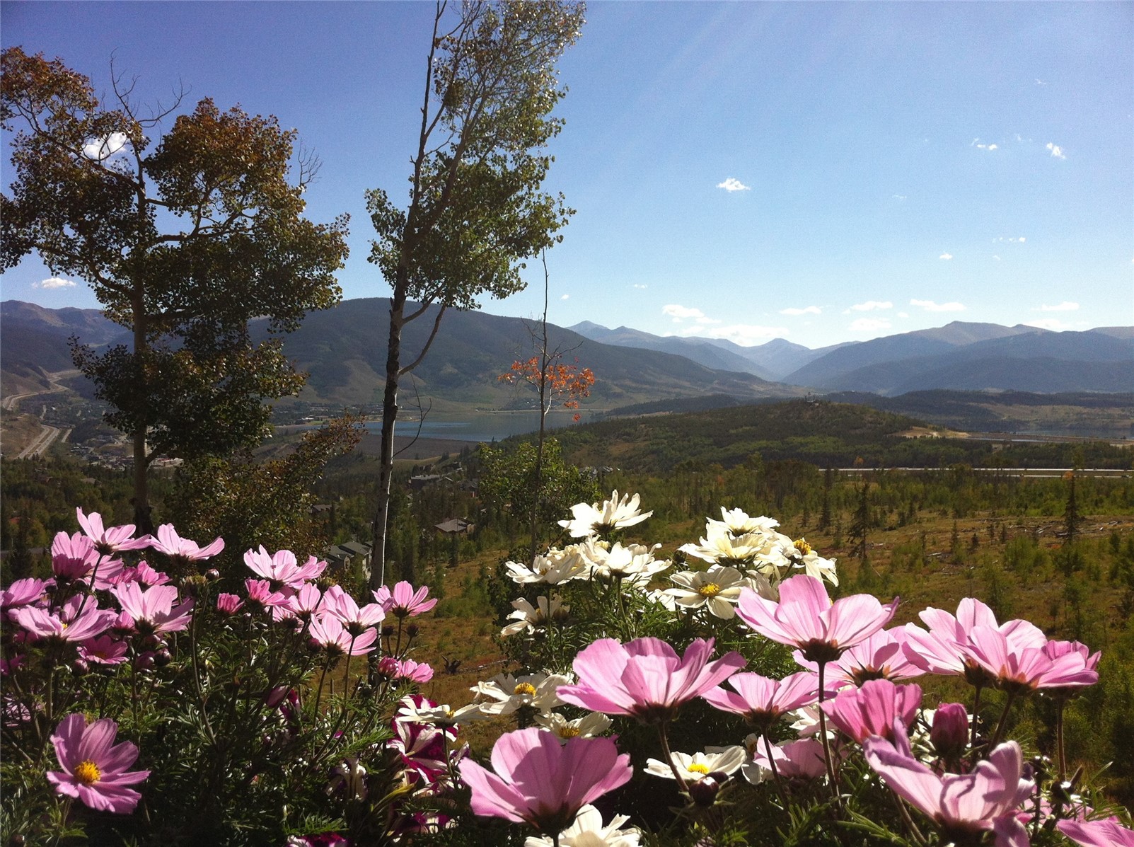 105B Wildernest Court Silverthorne CO 80498