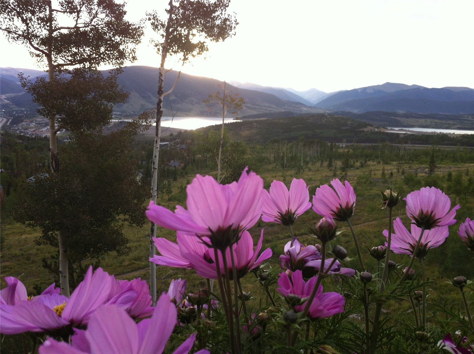 105B Wildernest Court Silverthorne CO 80498
