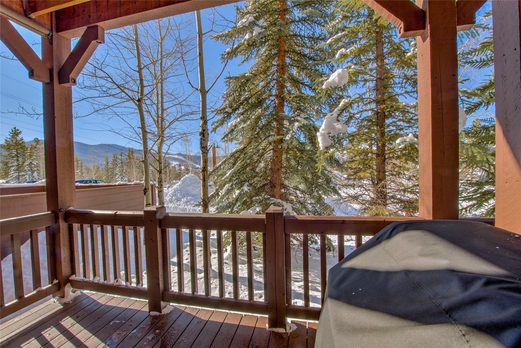 105 River Course Drive Keystone CO 80435