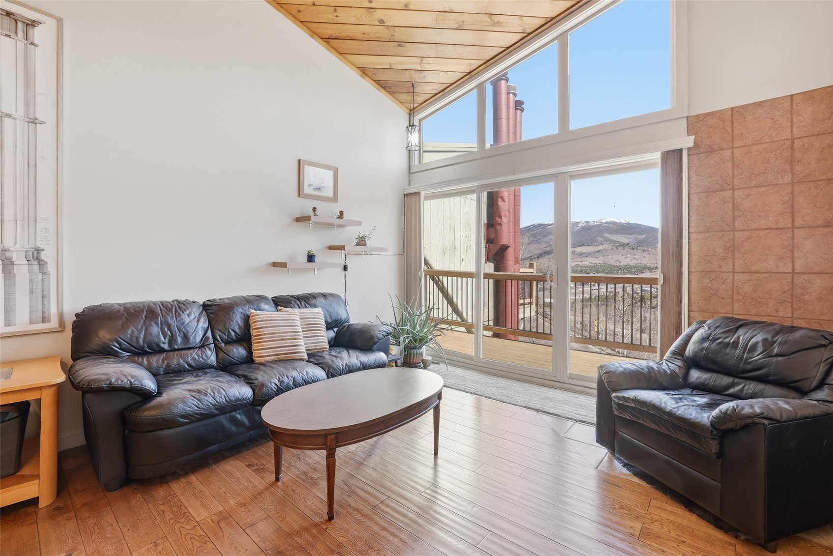 2424 Ryan Gulch Court S Wildernest CO 80498