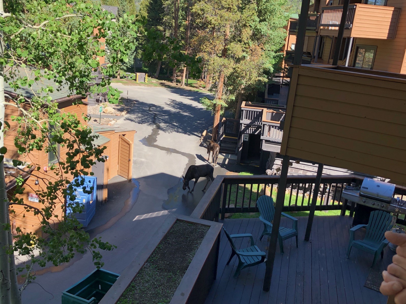 1513 E Keystone Road Keystone CO 80435