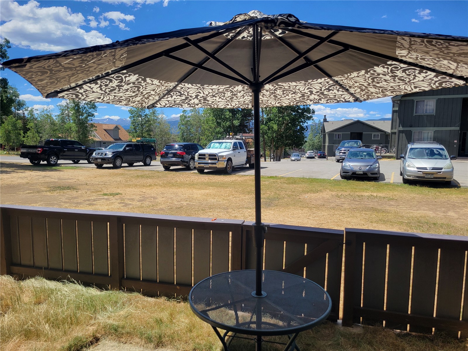 863 Straight Creek Drive Dillon CO 80435