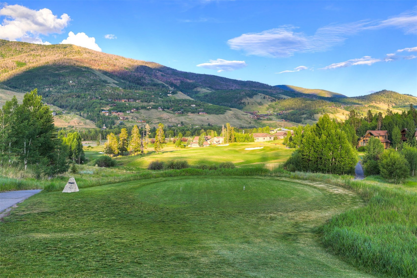 312 Kestrel Lane Silverthorne CO 80498
