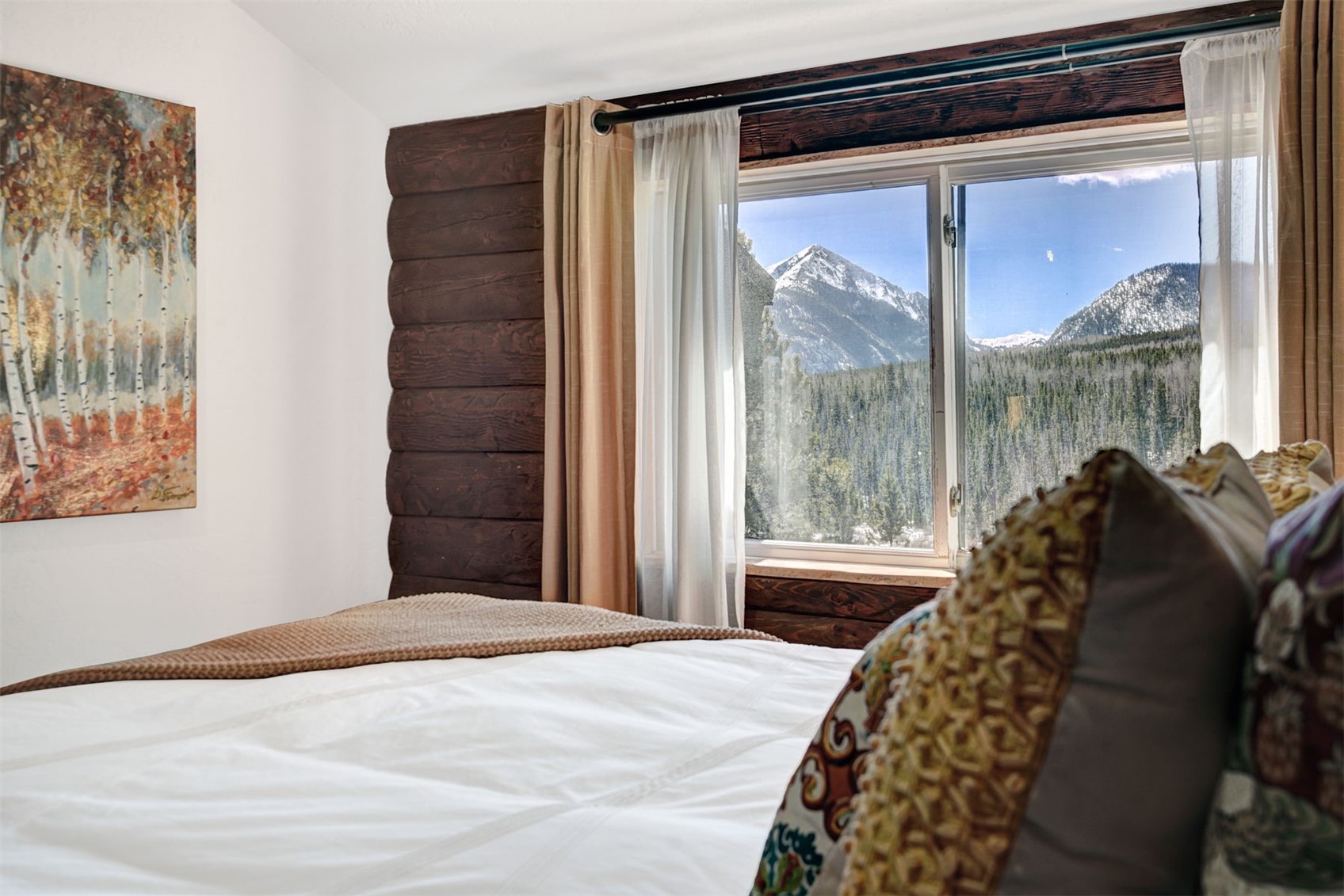 9460 Ryan Gulch Road Silverthorne CO 80498