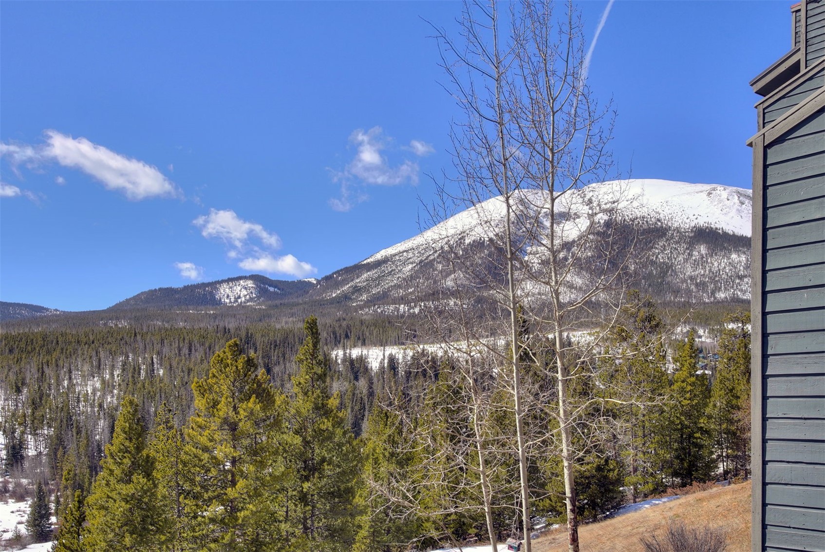 9460 Ryan Gulch Road Silverthorne CO 80498