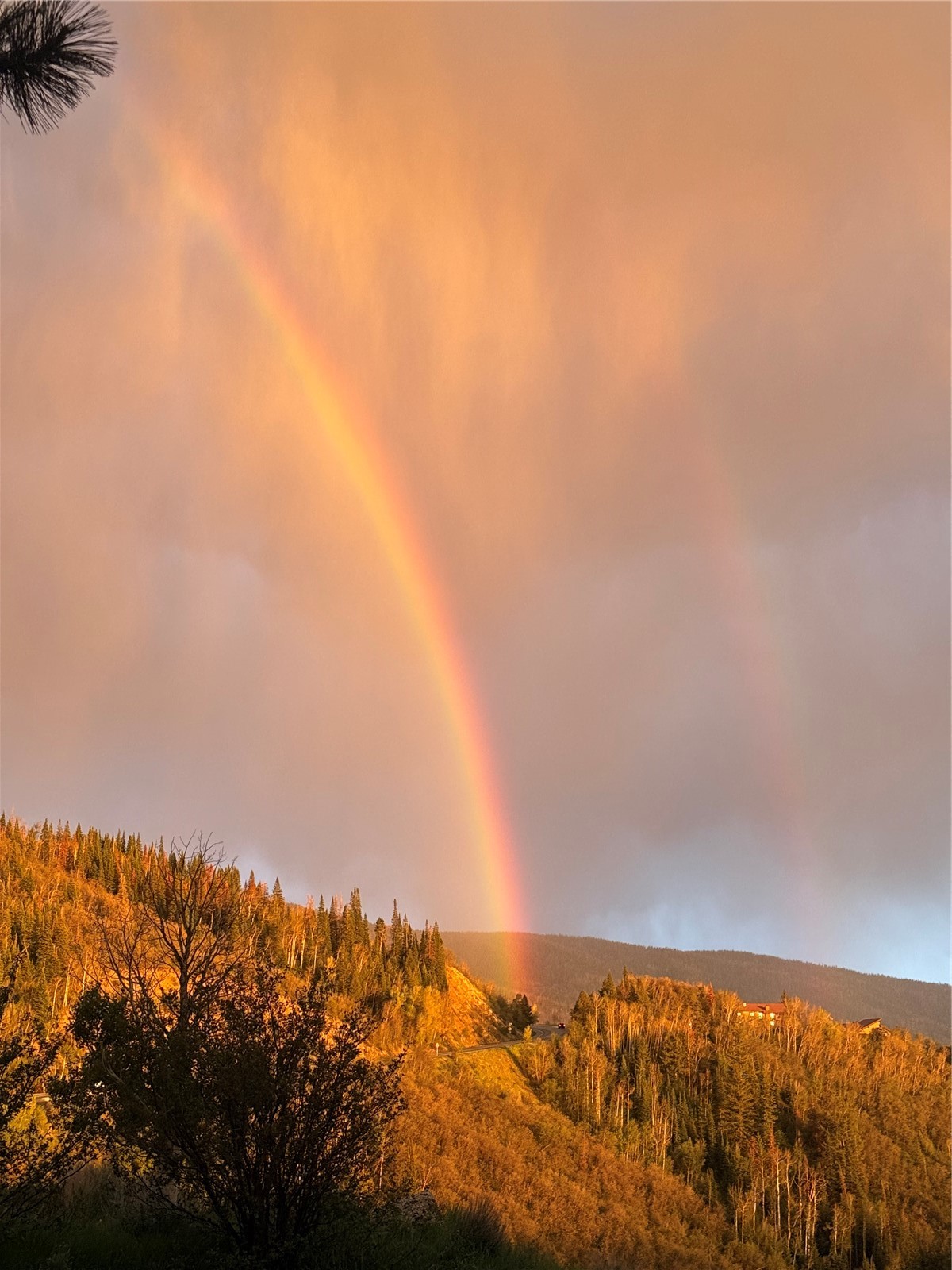 31500 Runaway Place Steamboat Springs CO 80487