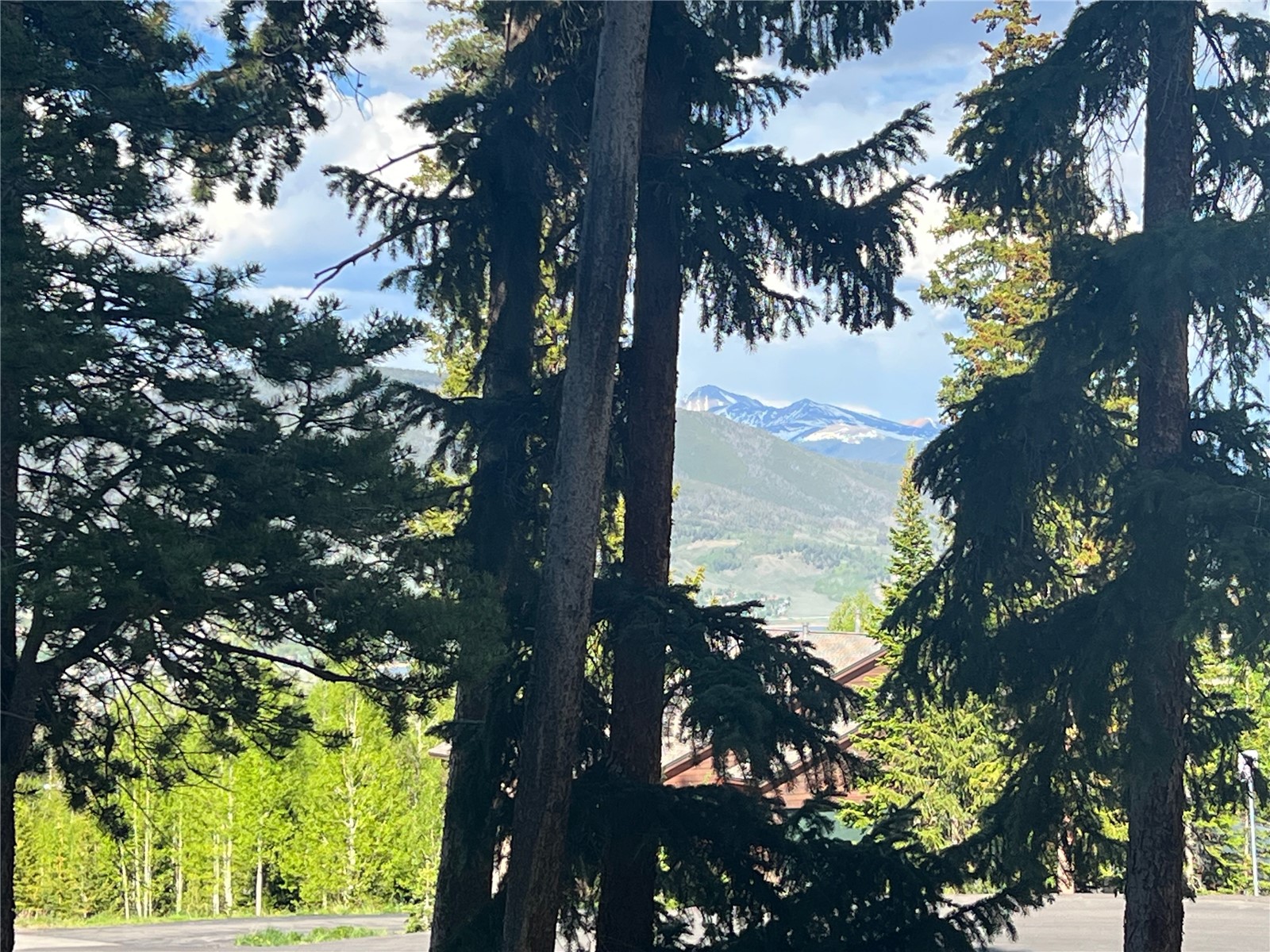 89410 Ryan Gulch Road Silverthorne CO 80498