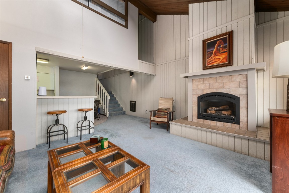 23055 Schussmark Trail Oak Creek CO 80467