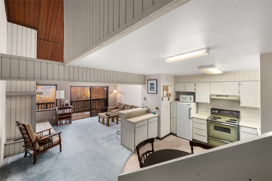 23055 Schussmark Trail Oak Creek CO 80467