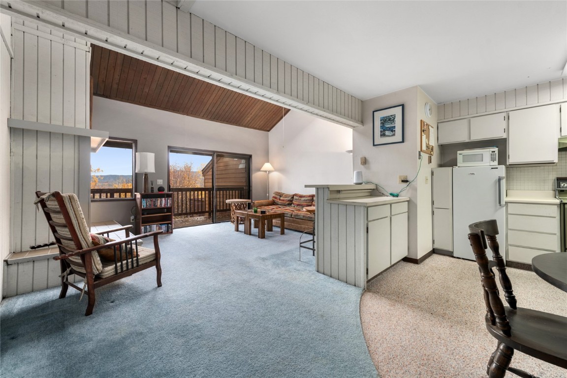 23055 Schussmark Trail Oak Creek CO 80467