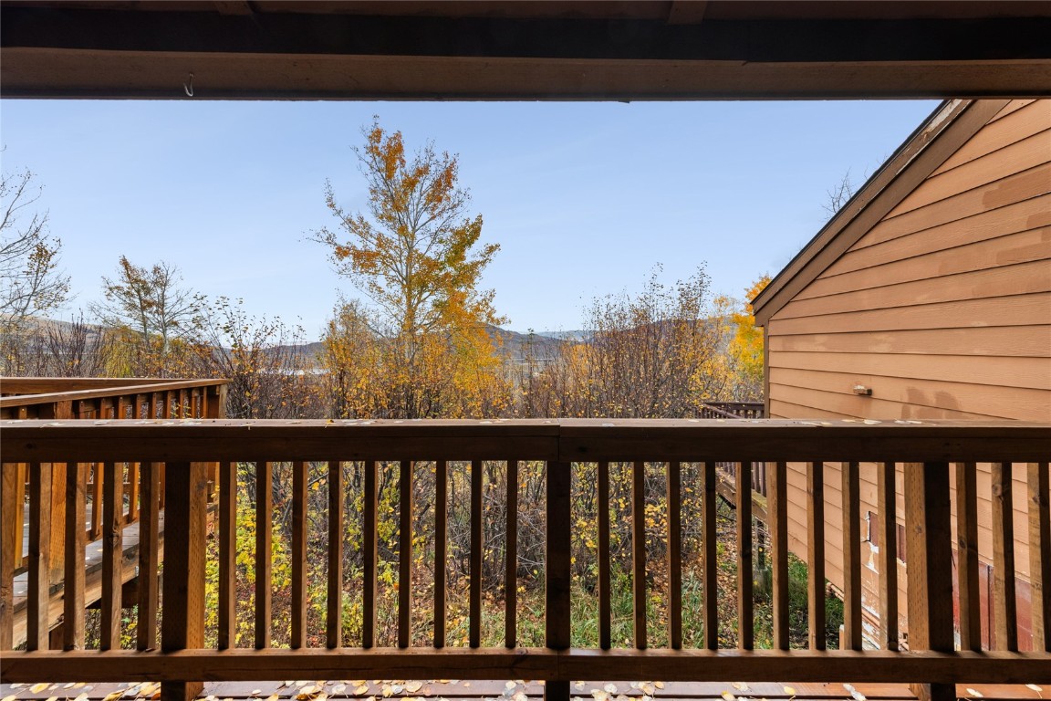 23055 Schussmark Trail Oak Creek CO 80467