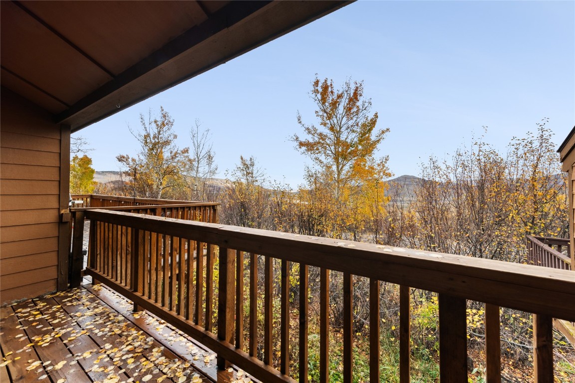 23055 Schussmark Trail Oak Creek CO 80467