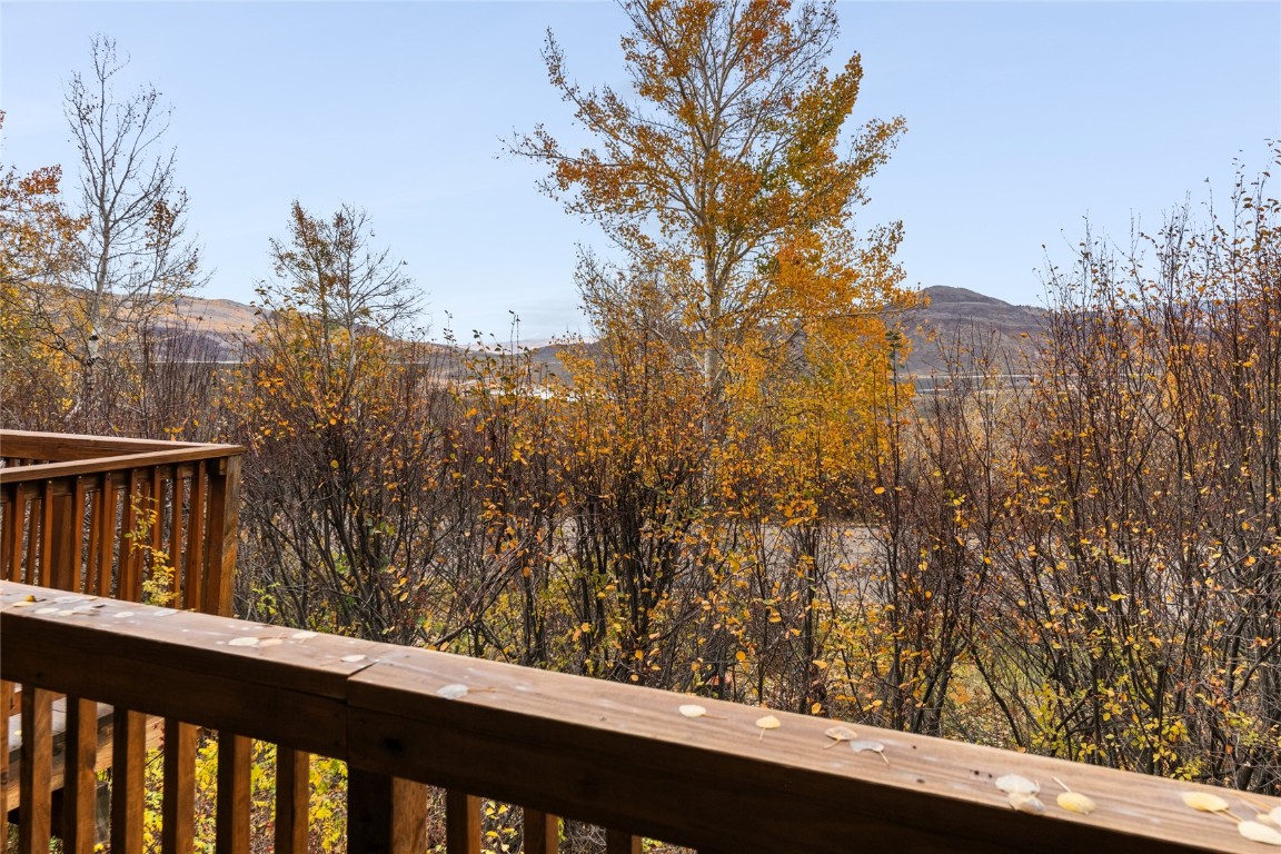 23055 Schussmark Trail Oak Creek CO 80467